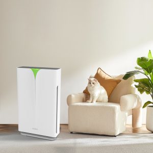 Negative Ion Air Purifier Hepa Carbon Filter CADR450